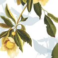 thumbnail image 2 of Lemon Floral Poster Print by  PI Studio (24 x 24), 2 of 2