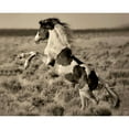 thumbnail image 3 of Dearing, Lisa 18x15 Black Modern Framed Museum Art Print Titled - Wild Painted Pony, 3 of 5