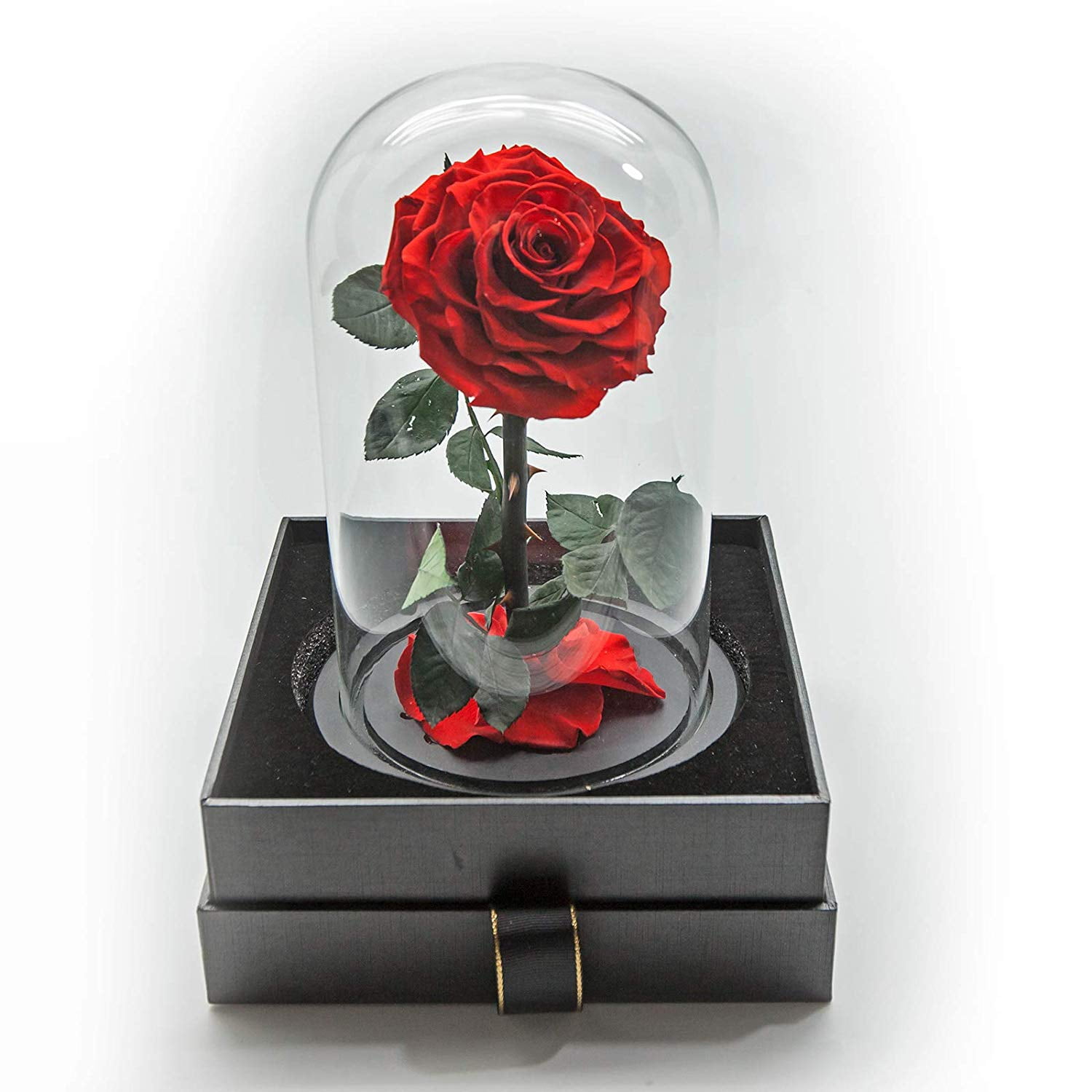 Eternal Real Rose Bud In Elegant Glass Dome