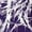 Purple, variant on Y2K Dark Gothic Thorn Print Jogger Sweatpants for Men Y2K Streetwear Graphic Casual Jogging Bottoms Elastic Drawstring Waist Dark Aesthetic Sweatpants with Pockets