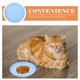 thumbnail image 3 of ColoMX Cuenco de alimentación para gatos, plato para gatos, cuenco de alimentación poco profundo, plato de comida para mascotas pequeñas, 4 Uds., 3 of 7
