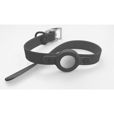 Luxe and Loli Black Dog Collar With Air Tag Holder Large