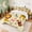 Mustard Peach, variant on Erosebridal Lion Twin Comforter Sets for Boys Girls, Safari Animals Bedding Set, Polka Dots Reversible 2pcs 1 Comforter and 1 Pillowcase