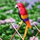 thumbnail image 5 of Guacamayo artificiales, loro de pájaro para decoración de jardín, accesorio Rojo Zulema Estatua de loro, 5 of 7