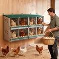 thumbnail image 3 of EAGLE PEAK 8 Compartment Metal Nesting Boxes for Chicken, Wall Mount/Free Standing Poultry Nest, Galvanized Steel Nesting Boxes for Hens, 3 of 10