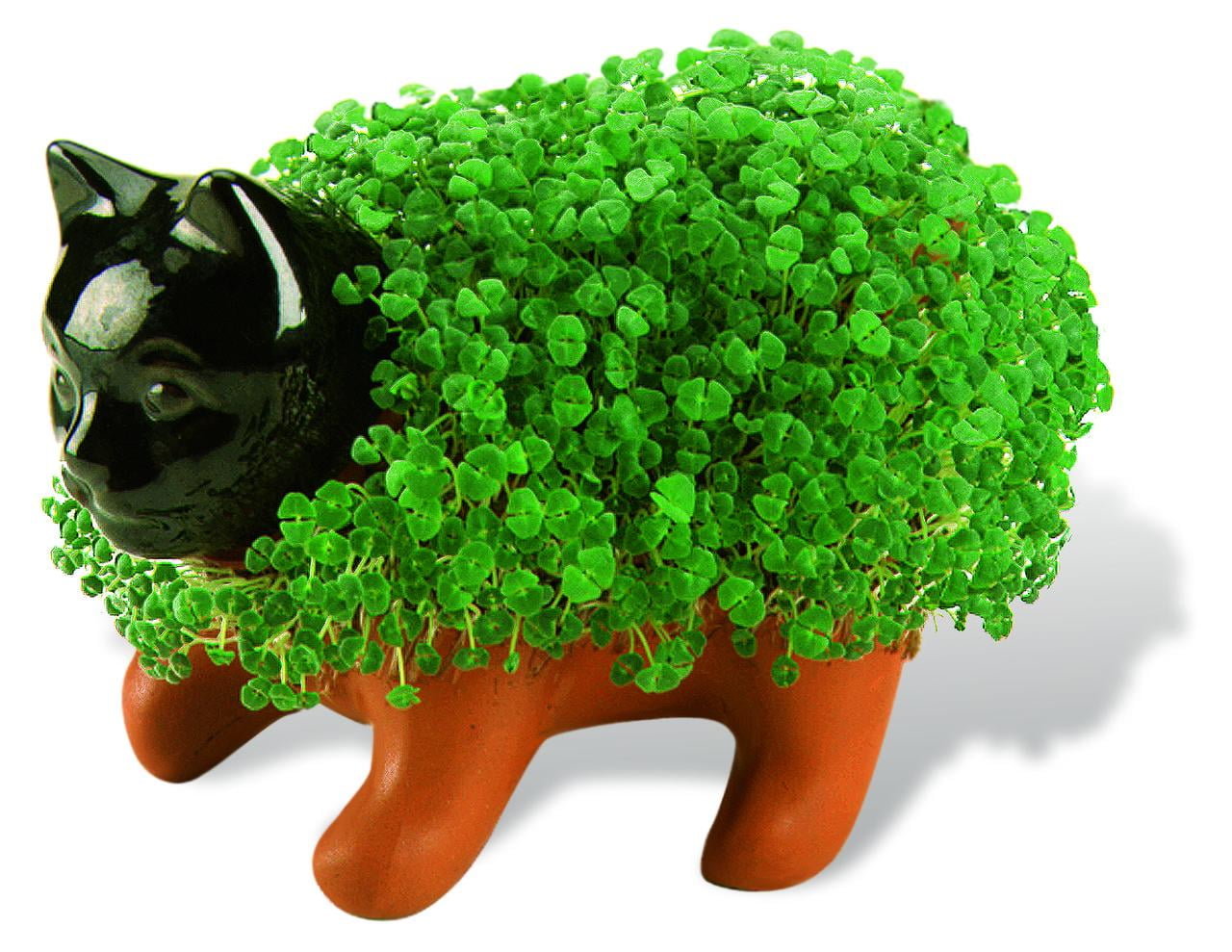 Bob Ross with Paint Palette Chia Pet Handmade Decorative Planter by JEI -  Walmart.com