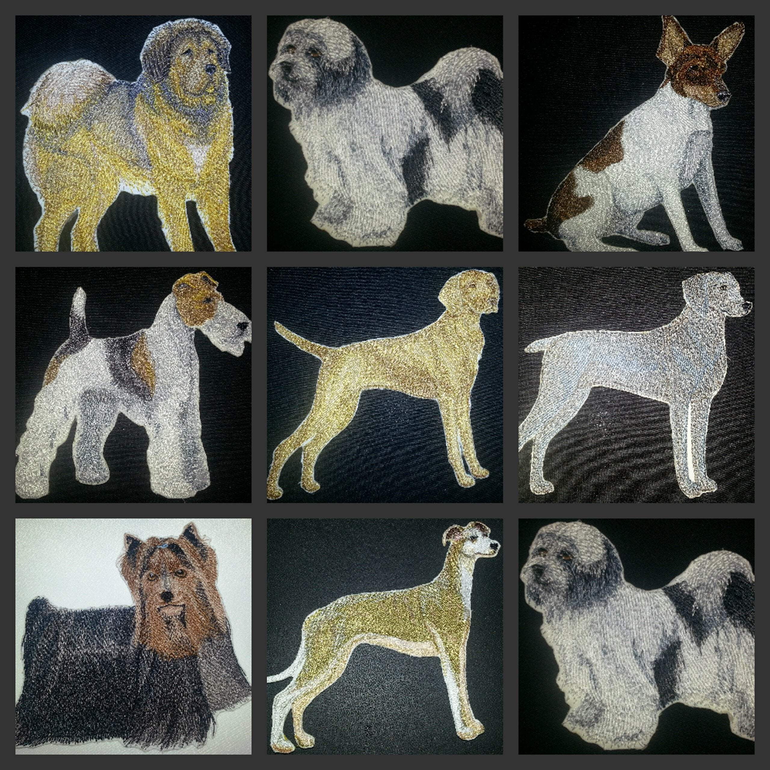 Custom Dog Portraits[Toy Fox Terrier] Embroidered Iron On/Sew patch [5.5" x 4.5]]
