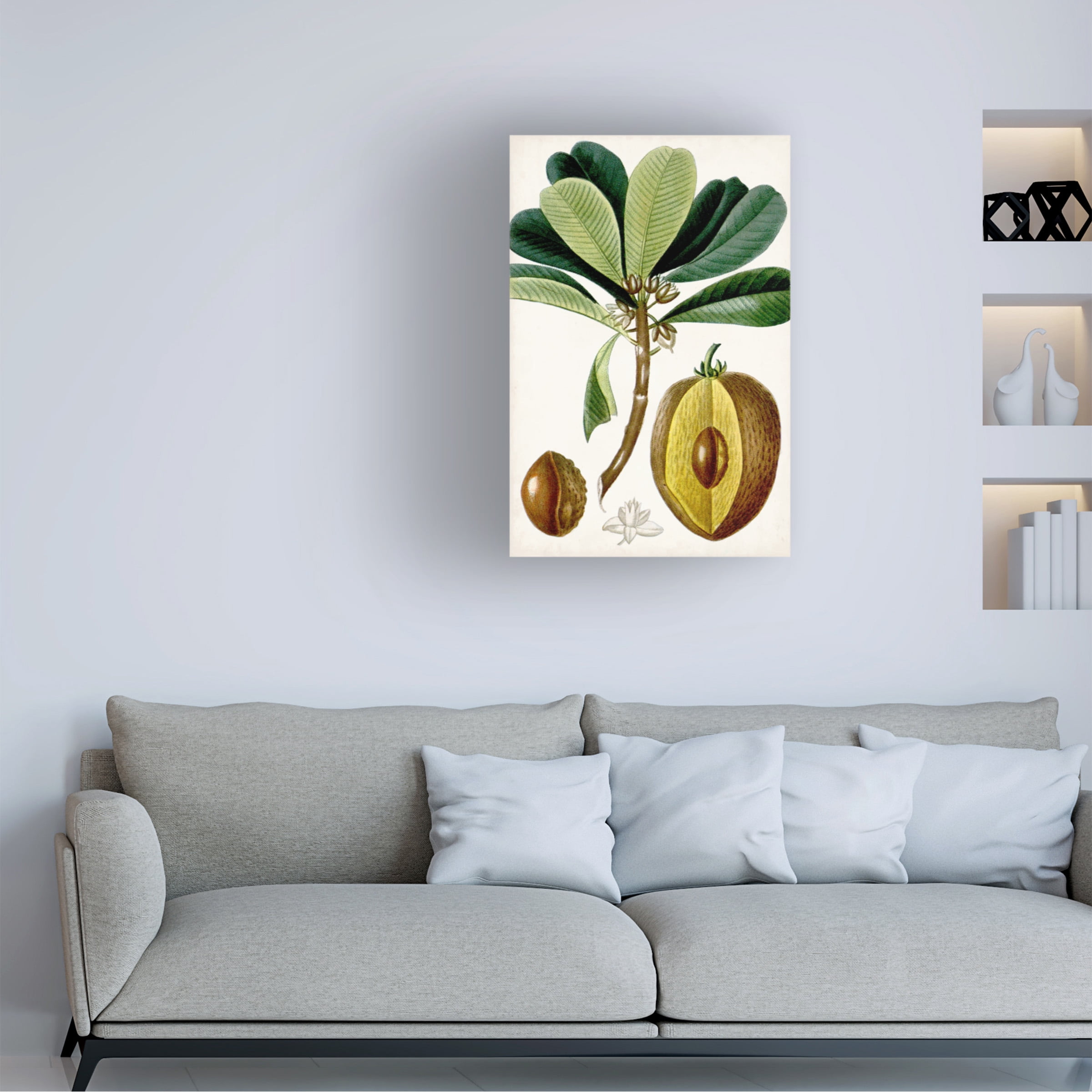 Turpin 'Turpin Tropical Fruit VI' Canvas Art