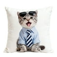 thumbnail image 2 of Funda de almohada corta de felpa de poliéster con diseño de gatos | Funda de cojín decorativa para sofá de 45 x 45 cm sin relleno | Decoración para el hogar con estampado de gatos multicolor, 2 of 6