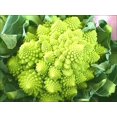 thumbnail image 4 of shiyou-- Broccoli Romanesco Cabbage Beautiful - Vegetable Heirloom for Planting, 4 of 4