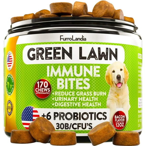 Furrolandia Grass Saver For Dogs Dog Pee Grass Defense Digestive Immune Health Supplement For Dogs 170 Soft Chews Walmart Com