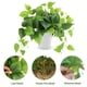 thumbnail image 3 of Planta artificial CEWOR Pothos Scindapsus Aureus de 20 cm con maceta, 3 of 7