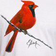 thumbnail image 3 of CafePress - Cardinal (2) Fitted T Shirt - Fitted T-Shirt, Vintage Fit Soft Cotton Tee, 3 of 4