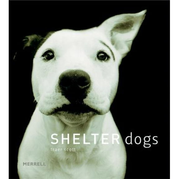Pre-Owned Shelter Dogs (Hardcover) 1858943523 9781858943527