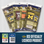 BSI PRODUCTS, INC. - East Carolina Pirates 2-Sided Garden Flag & Plastic Pole with Suction Cups - ECU Football Pride - Durable for Indoor and Outdoor Use - Great Fan Gift Idea - ECU Classic