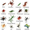 thumbnail image 6 of BOHS Bug Play Figures, Realistic Insect Toys for Educational Projects - 16 Pcs, 2-3 Inch in Length - Perfect Party Favors, Birthday Cake Stand, 6 of 7