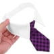 thumbnail image 5 of HEALEEP 1Jgo Boina Para Perro Pequeño Accesorio Ideal Para Sesiones De Y Celebraciones, 5 of 6