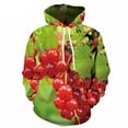 thumbnail image 4 of Sudadera con capucha con gráfico de frutas para hombres y mujeres, sudadera con estampado 3D de comida deliciosa, sudaderas casuales de manga larga, tops de gran tamaño, jerséis, 4 of 4