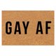 thumbnail image 1 of Felpudo de entrada MONEPIRED, divertido felpudo con diseño de orgullo gay, antideslizante, divertido, de bienvenida, impermeable, 40,6 x 60,9 cm, 1 of 7
