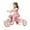 Pink, variant on Wdmiya 3-in-1 Toddler Bike for 2+ Years Old, Boys Girls Tricycles for Toddlers Kids, Adjustable Seat, Trikes for Balance Training Baby Bike Infant Trike, Christmas & Birthday Gift, Blue