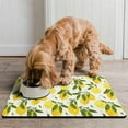 thumbnail image 2 of Floral Lemon Dog Feeding Mat - Waterproof Non-Slip Pet Food Pad with Vintage Design, Easy to Clean and Durable, 2 of 5