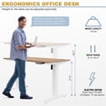thumbnail image 6 of Sobaniilo 55" x 24" Home Office Electric Height Adjustable Standing Desk with Memory Control, White Frame + Maple Top, 6 of 8
