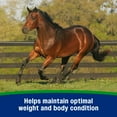 thumbnail image 2 of Farnam Weight Builder Equine Weight Supplement 7.5 pounds, 2 of 16