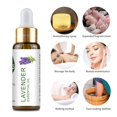 thumbnail image 4 of Fiudx Ofertas De La Semana Exquisito Botanical Spa Se Levantó En Una Calma Rejuvenecedora Y Una Relajación Maravillosa Para Una Sensación Renovada De Bienestar 10Ml, 4 of 6