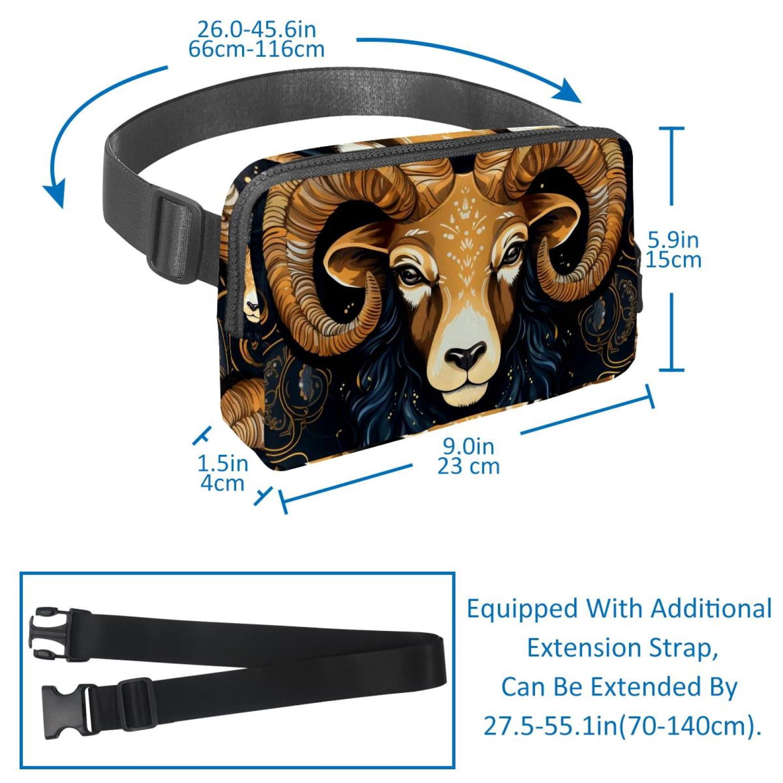 Aries Running Belt Waist Packs Fanny Bag: Lightweight, Adjustable, with Extension Strap, Unisex