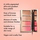 thumbnail image 2 of Paleta de polvos faciales ICONIC LONDON Get Cheeky con 4 tonos, 2 of 5