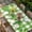 Green White, variant on St. Patrick's Day Table Cloths for 6 Foot Rectangle Tables, Green Shamrock Grasses Black White Plaid Patio Waterproof Elastic Fitted Tablecloths, Washable Rectangular Table Cover for Camping