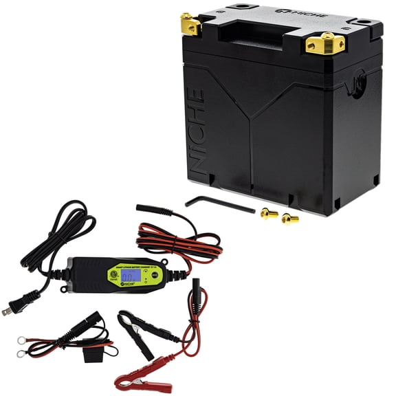 Niche Lithium Battery with Charger YTX14-BS 12V 4Ah 240A for Honda ATV Motorycle MK1015032