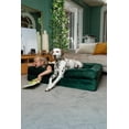 thumbnail image 2 of Cama para perros NOAH & PAW XL, 114 x 89 x 28 cm, gel refrescante ortopédico, 2 of 7