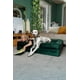 thumbnail image 2 of Cama para perros NOAH & PAW XL, 114 x 89 x 28 cm, gel refrescante ortopédico, 2 of 7