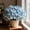 D, variant on Butterfly Flower Hostas Cultivation Granules,Bloom Year After Year-(Non-Artificial)-Fast Growing,Home Decoration-Beautiful Gift Garden-Ornamental-Premium Garden Stakes