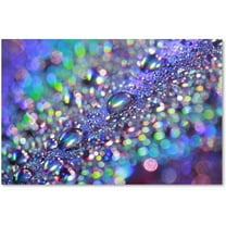 Trademark Fine Art Beata Czyzowska Young Colours of Rainbow Canvas Wall Art - 12x19