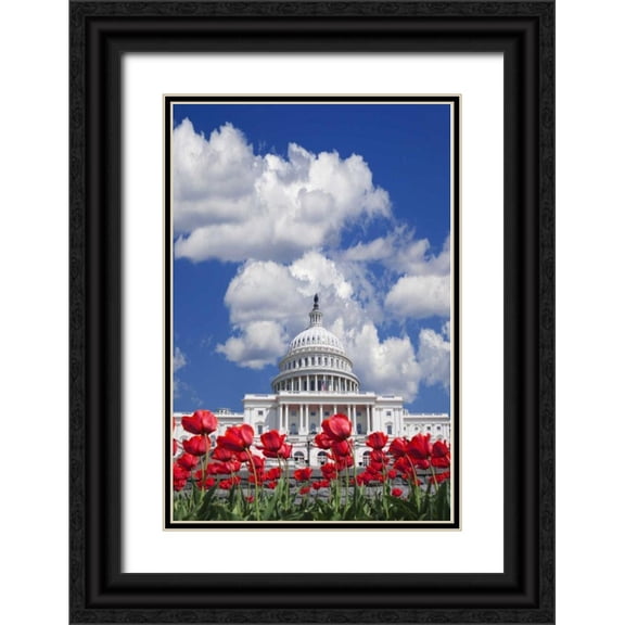 Flaherty, Dennis 13x18 Black Ornate Wood Framed with Double Matting Museum Art Print Titled - Washington DC, tulips by the Capitol building