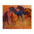 thumbnail image 2 of Marion Rose 'Free Range Horses' Wood Slat Art, 2 of 4