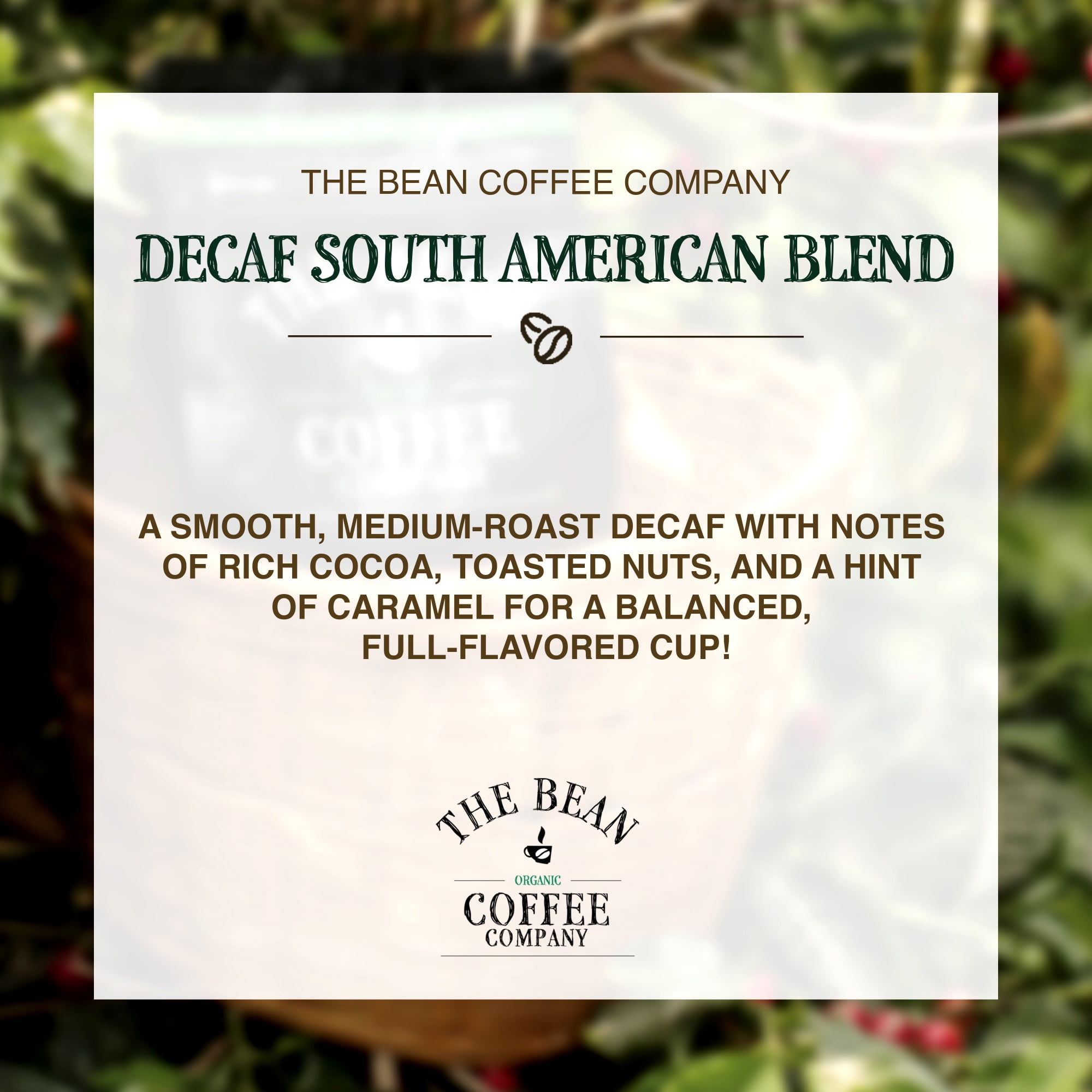 The Bean Organic Coffee Company Water Processed DECAF South America Blend, Medium Roast, Ground Coffee, 16-Ounce Bag