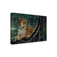 thumbnail image 2 of Trademark Fine Art 'Jaguar By The River' Canvas Art by Harro Maass, 2 of 3