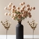 thumbnail image 1 of Flores artificiales Ryddelighome de seda beige, 10 tallos con eucalipto, 1 of 9