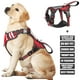 thumbnail image 1 of Chaleco para perros de servicio WINSEE, arnés sin tirones con 7 parches, rojo, 1 of 7