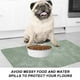 thumbnail image 5 of Estera impermeable para perros, estera para mascotas, agua para comida, estera para comida para gatos, manteles individuales antideslizantes impermeables para perros y mascotas, 5 of 7