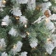thumbnail image 2 of Northlight Clear Prelit Incandescent Green Frosted Sierra Fir Christmas Tree, 6.5', 2 of 5