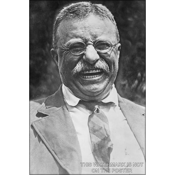 24"x36" Gallery Poster, Theodore Roosevelt laughing