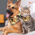 thumbnail image 4 of Cat Translucent Breathable Chiffon Cat Bandanas Pack of Two - 40.6x40.6x58in & 53.3x53.3x76.2in, 4 of 5