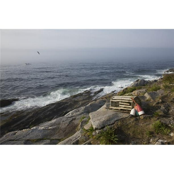 Old Wooden Lobster Trap & Buoys Poster Print by Wild Roses on Bluff  Overlooking Atlantic - 19 x 12 in. 