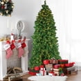 thumbnail image 2 of Northlight 7.5' Prelit Artificial Christmas Tree LED Olympia Pine - Warm White Lights, 2 of 6