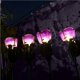 thumbnail image 5 of Lámpara De Césped Con Energía Solar Luz De Tierra Con Pantalla De Vidrio Impermeable Ip65 Forma De Flor Iluminación Blanca Cálida Para Jardín Patio Pasarela Púrpura 2 Piezas Cateissary HA027249-01, 5 of 6