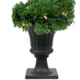 thumbnail image 4 of Northlight Real Touch™ Artificial Pre-Lit Cedar Spiral Topiary Tree, Clear Lights - 4.5", 4 of 7